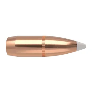 bcgunsmith20260125054716167359