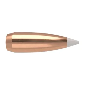bcgunsmith20260125060317172184