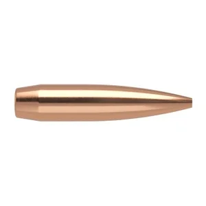 bcgunsmith20260125091051218199