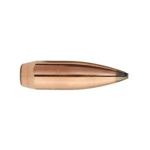 bcgunsmith20260125094741226058