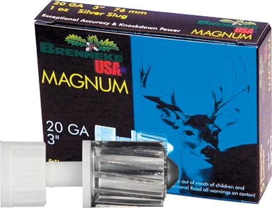 bcgunsmith20260125112303247123