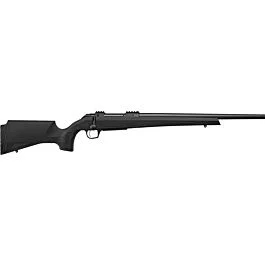gzanders20260125103630236960