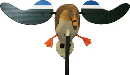 patriotsammo-arms20260125193904349977