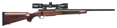 patriotsammo-arms20260126042918446444