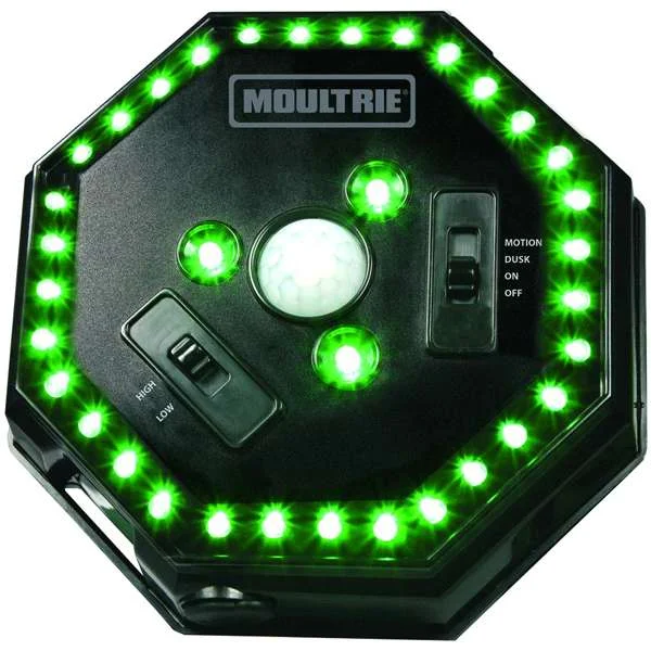 rangeusa-120260126082622471310