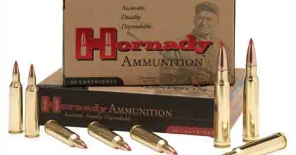 sanborngunshop20260125015550100321