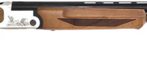 sanborngunshop20260125021721106535
