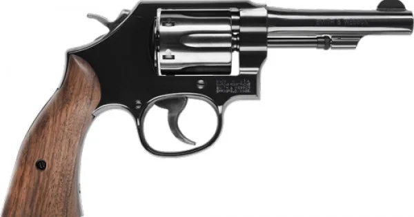sanborngunshop20260125052644161409