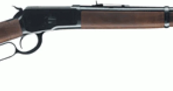 sanborngunshop20260125070201187597