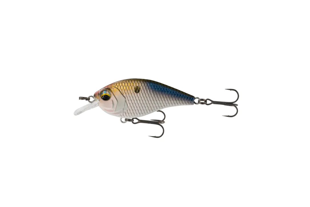 sportsmansoutdoorsuperstore20260125045153151333
